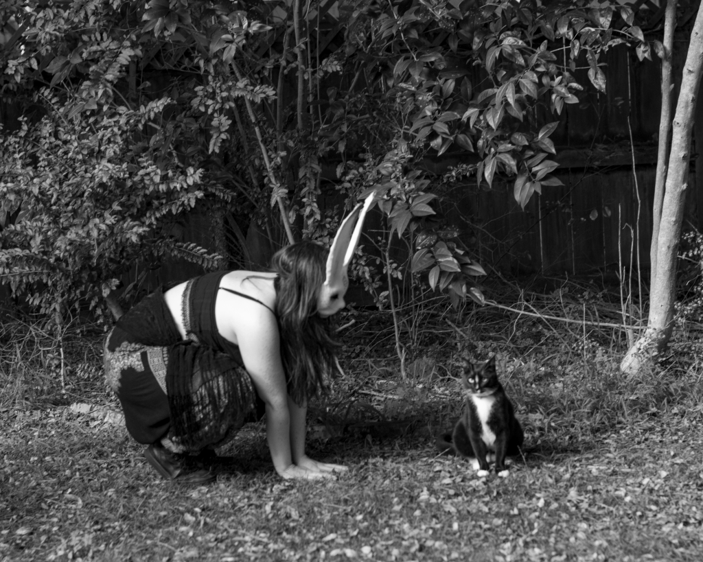 A person in a rabbit mask crouches and looks at a cat.