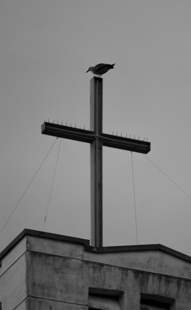 A seagull stands atop a large cross with anti-bird spikes on it.